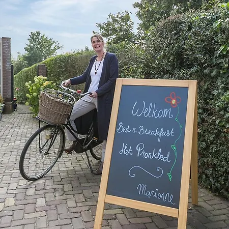 Het Pronkbed